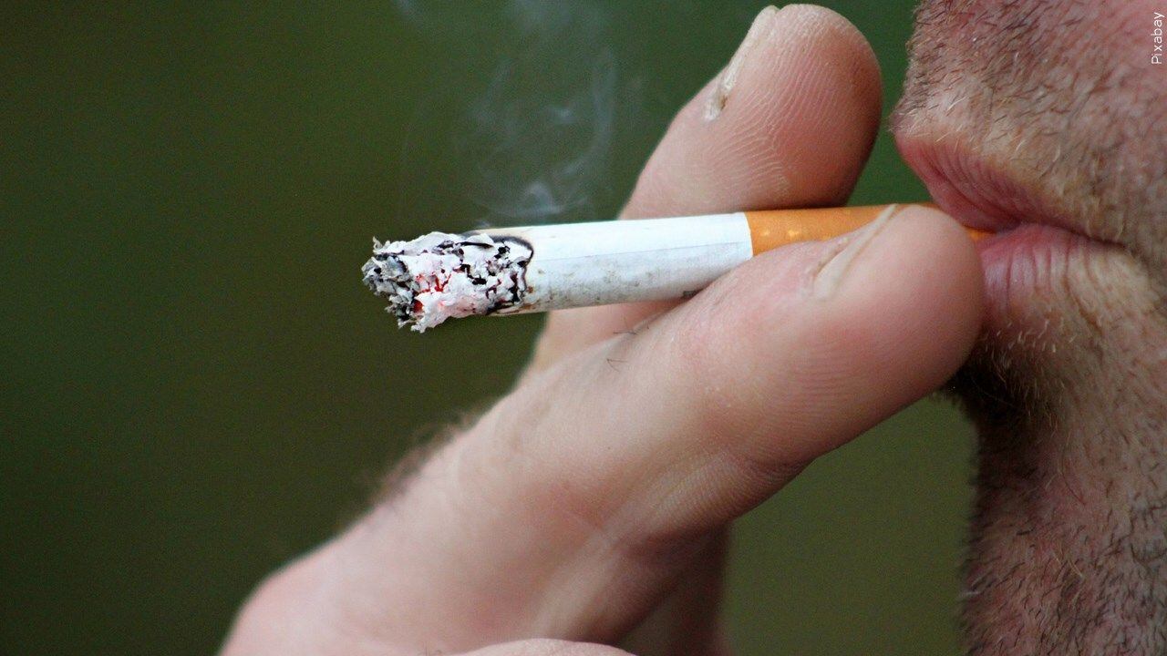 after a 1998 tobacco settlement quizlet Minnesota's landmark is 20 years old Tobacco settlement funds split up